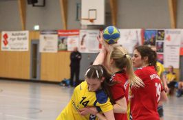 Handball der Damen (Worbis-Geismar II) Bild 5.jpg
