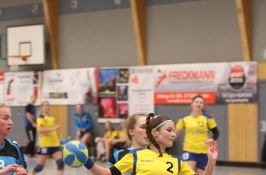 Handball Worbis Damen Bild 1.jpg