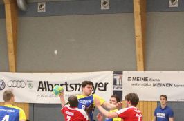 Handball Worbis Männer I Bild 9.jpg